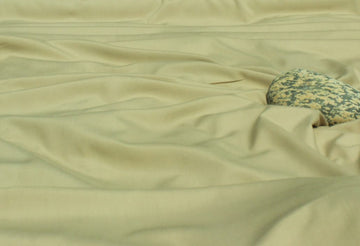 Beige Colour
