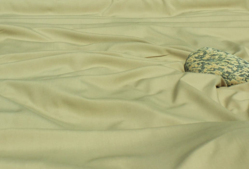 Beige Colour
